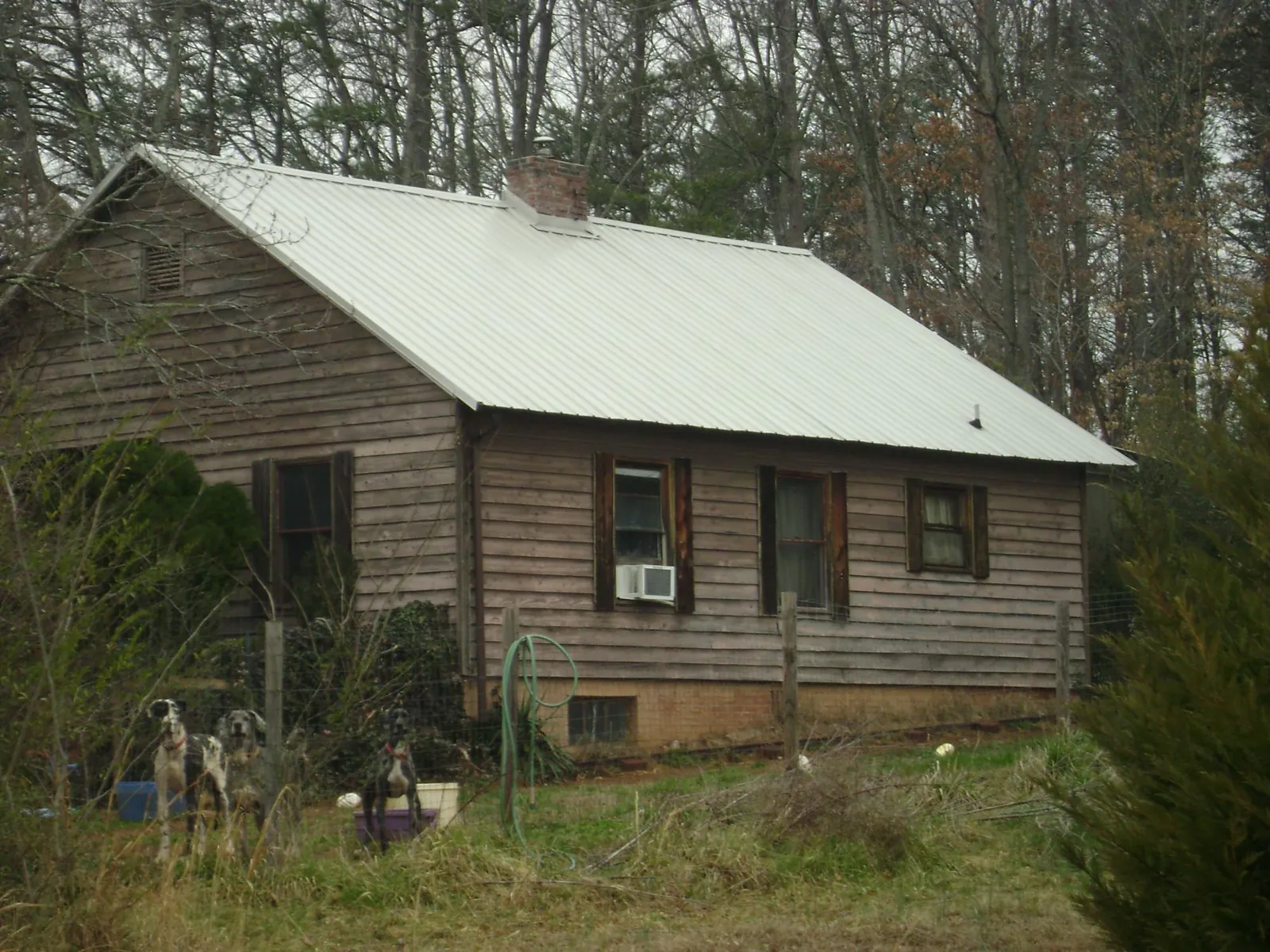 White metal roof on an old wood sided farmhouse, from a Asphalt Shingle Roof Repair job in Flinton